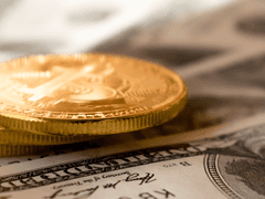 오마카세(맡김차림) 글 커미션 개장 공지