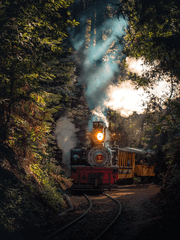 수감자 서류파일