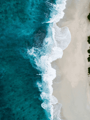 영화 시동(2019) 드림