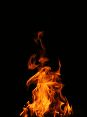 여러가지 팁과 썰