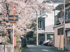 Throuple 03: 그들의 거리