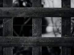 신념, 맹목, 믿음, 사회.