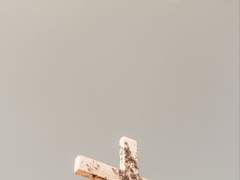 [백호열] 안 하던 거 하려니까 두드러기 나는 글