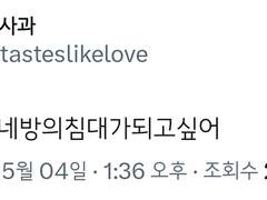 하루만 네 방의 침대가 되고 싶어