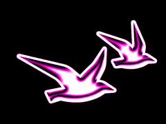 견습 내레이터 손주희