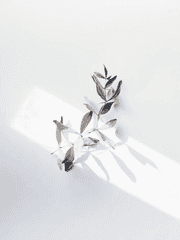 너의 이름은 혜성