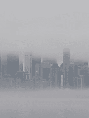 미친 개를 조심하라