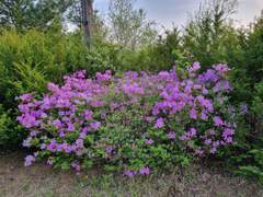 속사재(束沙齋)이야기 9