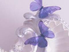 𝓐𝓫𝓸𝓾𝓽 𝓘𝓷𝔂 𝓛𝓪𝓻𝓻𝓲𝓿𝓮𝓮