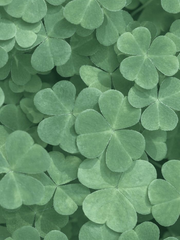 위로 받고 싶을때 TALK