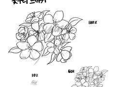 [브러쉬/프로크리에이트]꽃무리 도장 브러쉬