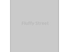 플러피 스트리트