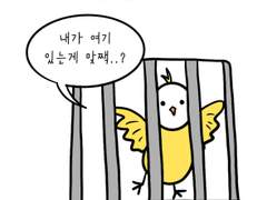 대형마트 내 동물판매 1