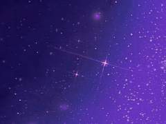 스텔라 | 11세 | Eden