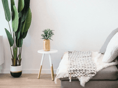 [육섭] 불편한 동거 2화