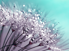 단 한명을 위한 예술