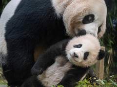 [실화] 피아노 학원에서 꼼수쓰다 걸린썰