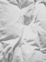 백호에겐 내가 말할게