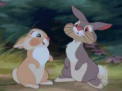 [사쿠아츠] 토끼와 늑대의 연애 일대기_下