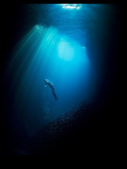 청춘 익사 사건