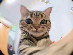 127막내 김여주 모먼트 EP.44