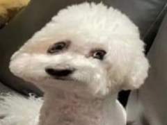 지금까지 그린것을 올릴것이다 2