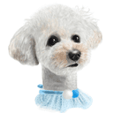 𝑴𝒐𝒏𝒈𝒅𝒂