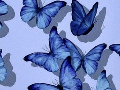 아무래도 좋을 것 같은 밤이지만.