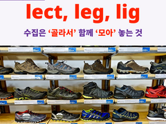 lect, leg, lig