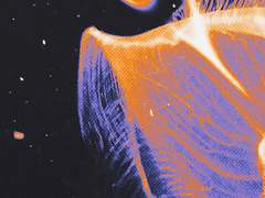 레디메이드 표지: 먼 우주의 바다