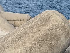 나의 살던 바다는(페이드 인 버전)