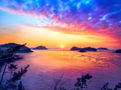 거짓말의 거짓말