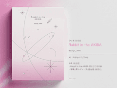 Rabbit in the AKIBA 인포