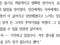 키타 신스케 드림 (오마카세 타입)