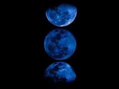 네버렌드가 있을까