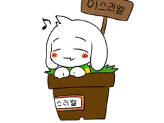 아스리엘 꽃이 피었습니다