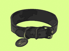 받는 사람: 알티야