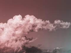 일몰하던 보랏빛의 과거