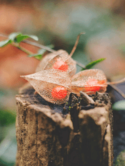 자작 글 모음집