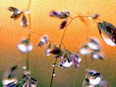 상대방 때문에 우는 거 보고 싶다