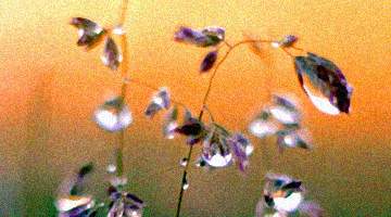 상대방 때문에 우는 거 보고 싶다