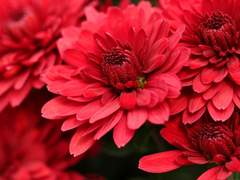 [서여커 고등부 프로필]