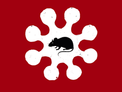 견습 내레이터 정이수