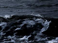 생명은 죽고 사랑은 사별하나니