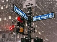 이정연/3학년/XY/도서부