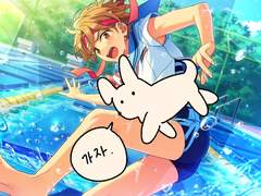 체육제 풀돌 타래