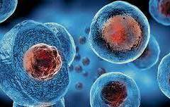 Cell and Gene Therapy Market Size, Growth, Trends, Outlook, Industry Analysis and Forecast 2023-2028