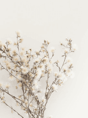 [히로아카] 들꽃