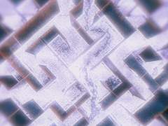 과거의 미로 (1)