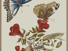 목소리가 좋은 너에게 작별 인사를 맡길게